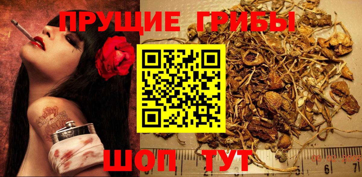 Галлюциногенные грибы ЛСД Унеча